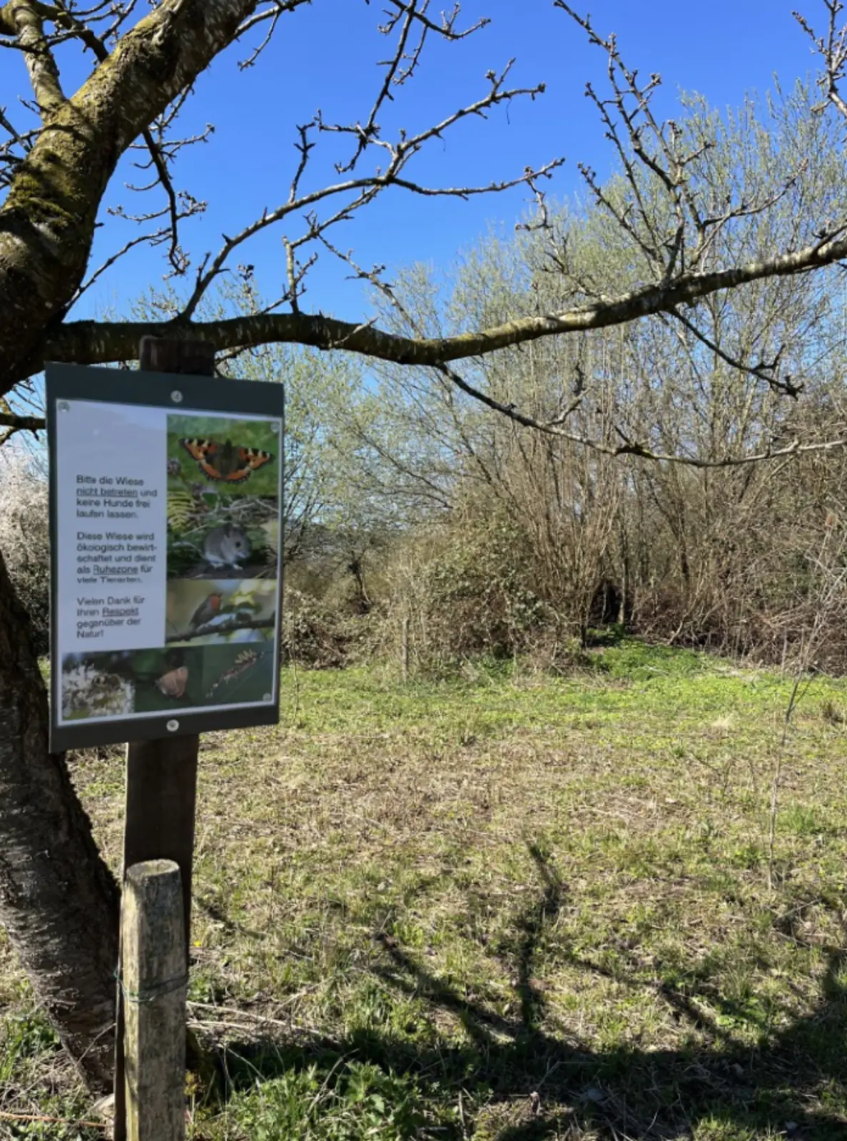 Nein zur Deponie Längiberg - diese prachtvolle Natur müsste der Deponie weichen.